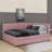 Full Size Upholstered Daybed With 2 Drawers-1014988776