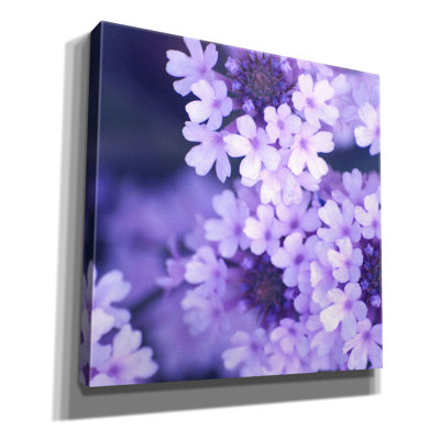 «Fleurs mauves 2» par PhotoINC Studio