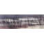 Barely by Don Schwartz - Wrapped Canvas Panoramic Print-1103112655