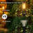 Solar Powered Integrated LED Pathway Light