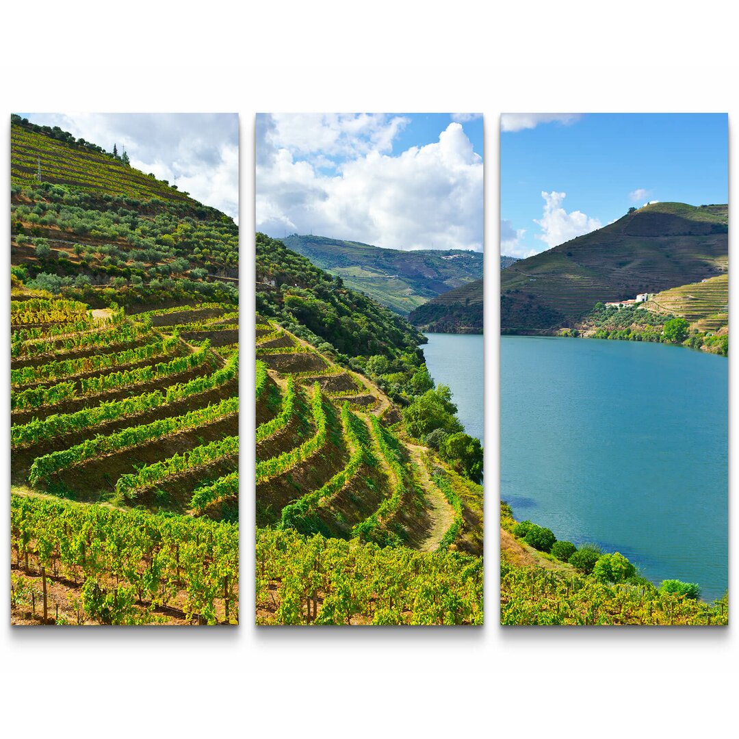 3-tlg. Leinwandbilder-Set Weinberge am Fluss Douro in Portugal