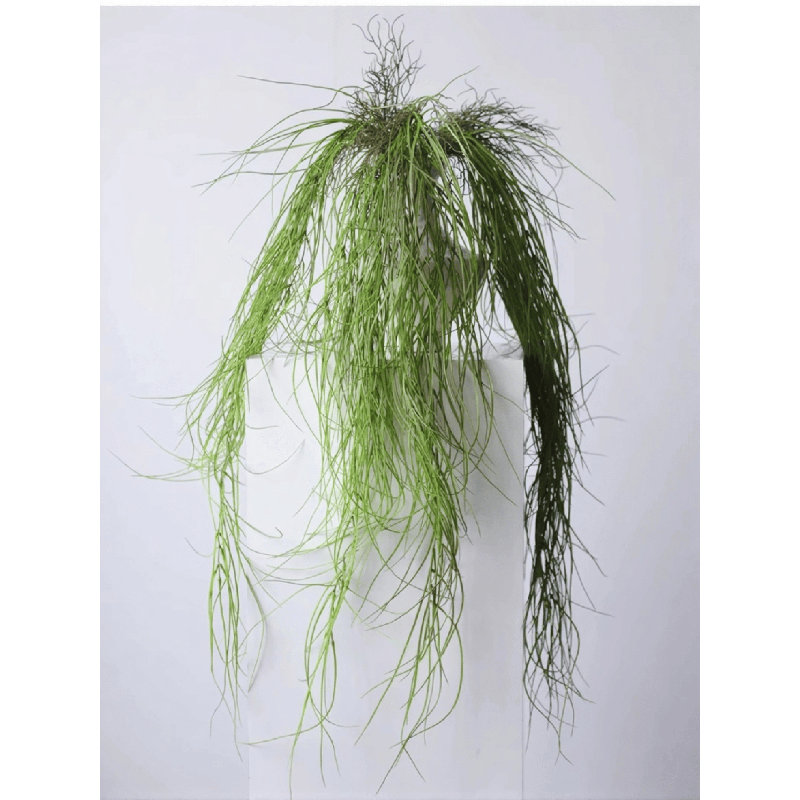 Branche de roseau en cascade - 37,4 po, Fresh Green, [B] 3 Stems