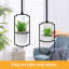 Agiato Hanging Planter