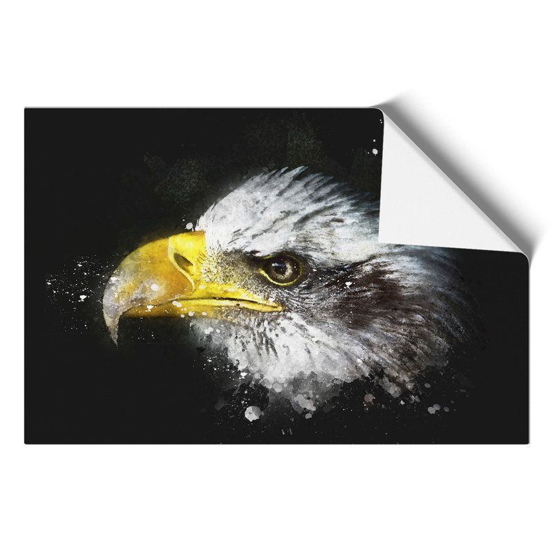 Bald Eagle Paint Splash - Frameless Print, 30cm H x 42cm W x 0.1cm D