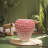 Chemr 13.4"Strawberry Fruit Resin Patio Stool and Side Table