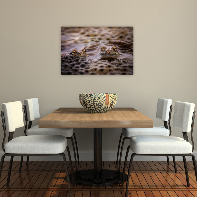 Pond Frogs And Spawn Contemporary Frog Wall Art Print by Roberto Marini - Print, 60.96cm H x 91.44cm W
