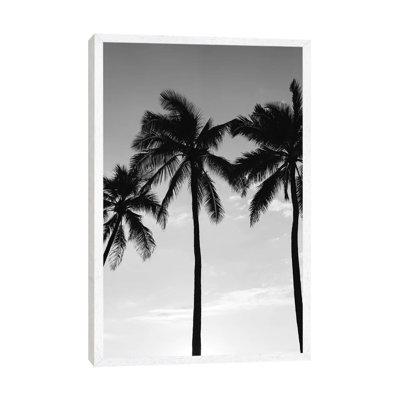 Hawaiian Palms III by Bethany Young - Print on Canvas