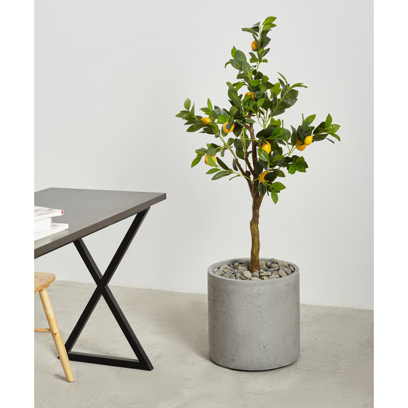 Jardinières en pot, gris, H 11,75 po x l 12,5 po x P 12,5 po