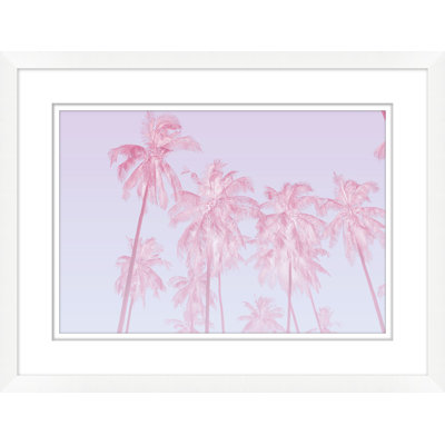 Exposition de palmiers roses