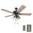 Lincoln Woods 52" Ceiling Fan with LED Light-2117662969