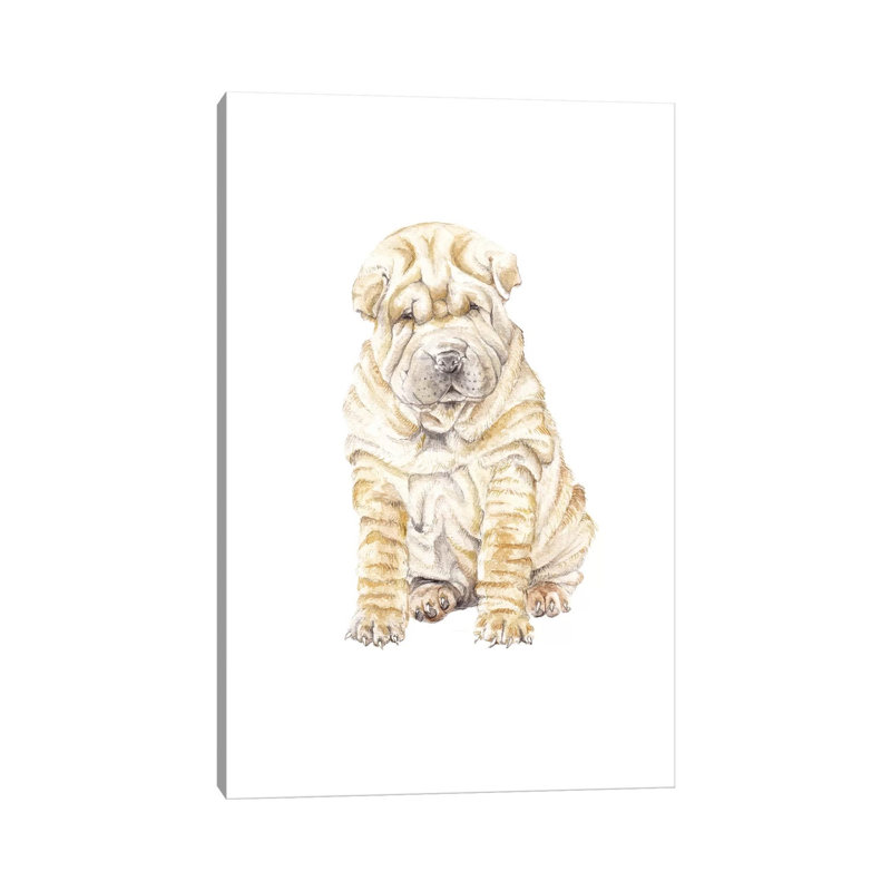 Shar Pei by Wandering Laur - Wrapped Canvas Gallery-Wrapped Canvas Giclée, 30.48cm H x 20.32cm W