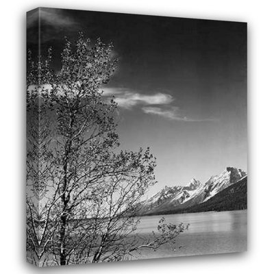 Adams, Ansel View of mountains with tree in foreground, Grand Teton National Park, Wyoming, 1941
