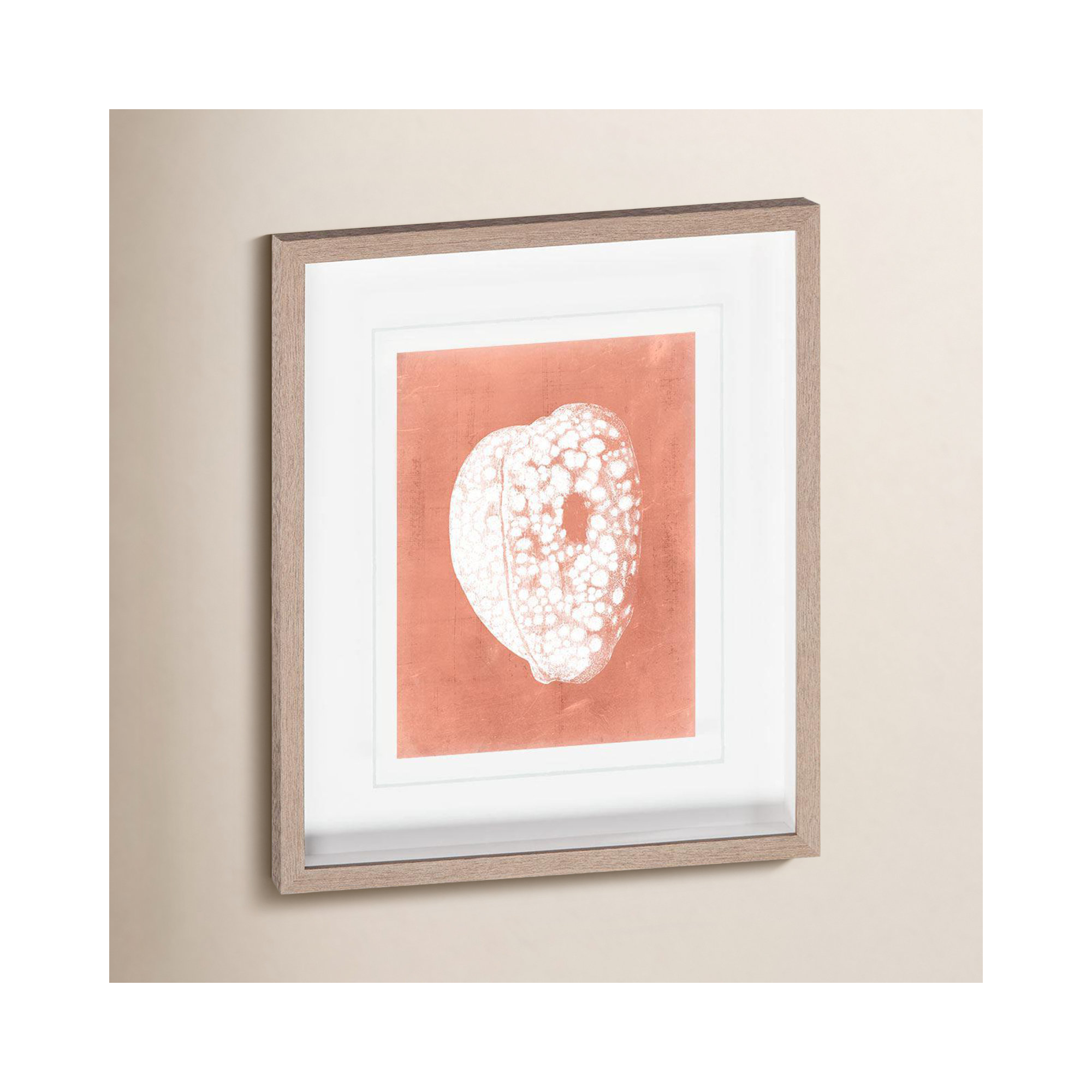 Sealife on Coral III by Vision Studio Hand Embelished Textured Framed Art Print Matted under Glass, Sealife on Coral III