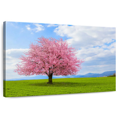 Harnek fleurissant arbre sakura