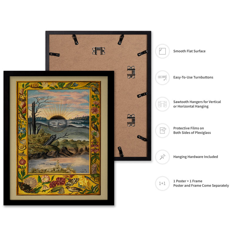 Splendor Solis, Black Framed, Poster, 16"H x 20"W