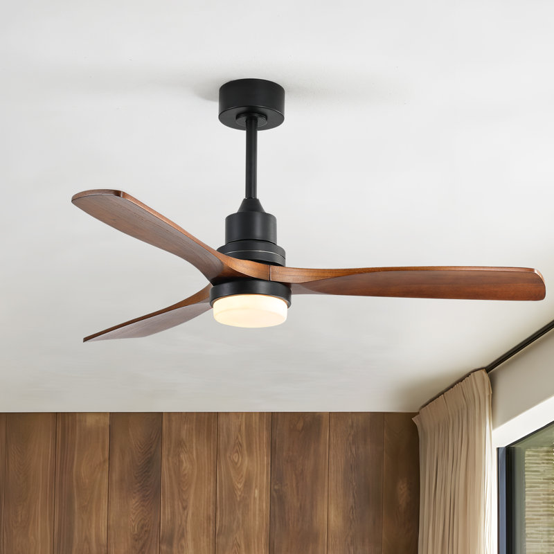 Ventilateur de plafond moderne à 3 pales de 52 po avec télécommande et ensemble d'éclairage Nicola, Noir / brun