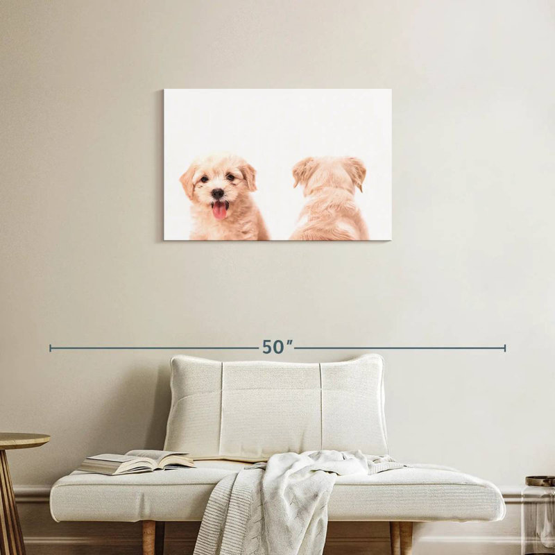 Portrait d'un chiot Brampt, H 20 po x l 30 po