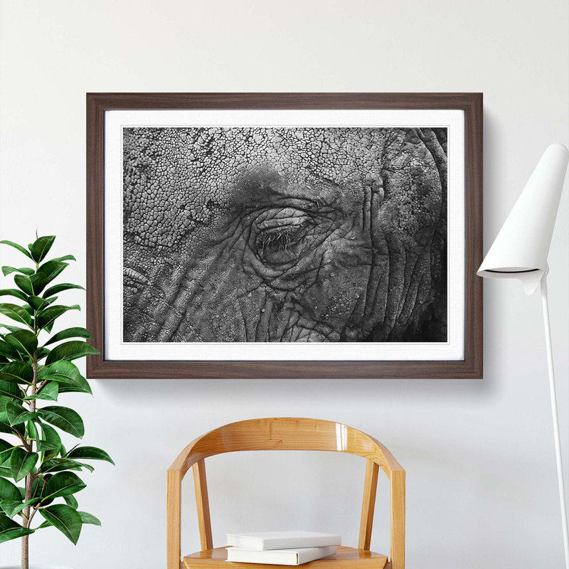 Elephant - Picture Frame Graphic Art Print, 62cm H x 87cm W x 2cm D, Walnut Framed
