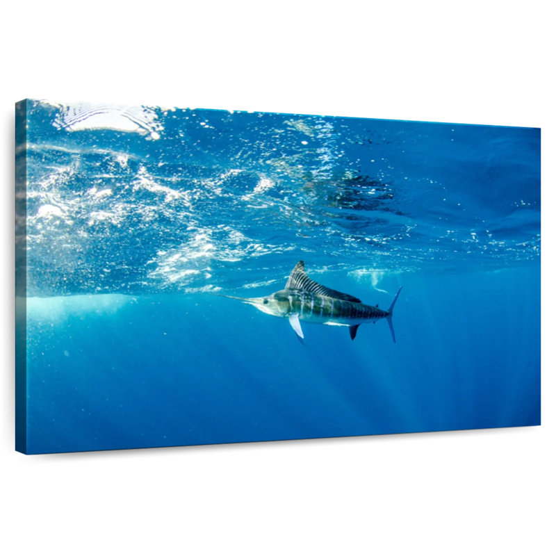 Brampt Underwater Marlin, 20" H x 30" W
