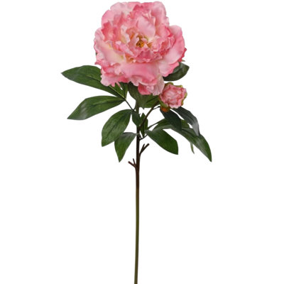 4 tiges de pivoines de 30 po