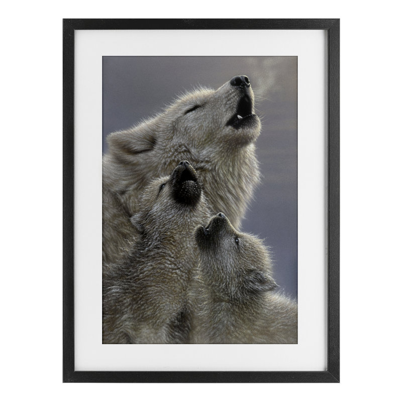 Singing Lessons White Wolves, reproduction encadrée sous verre, conception de Collin Bogle, H 20 po x l 14 po