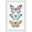 «Smaldino Butterfly Trio», art encadré-122208072
