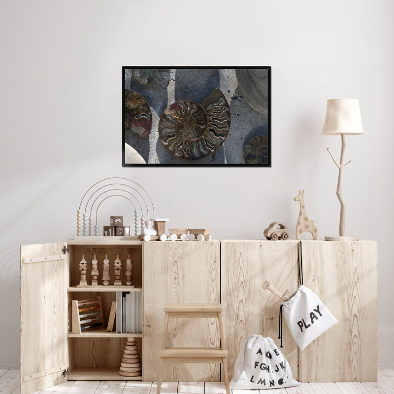 Gifts Of The Shore XVI by Elena Ray - Print, 55cm H x 80cm W, Black Framed Paper Print