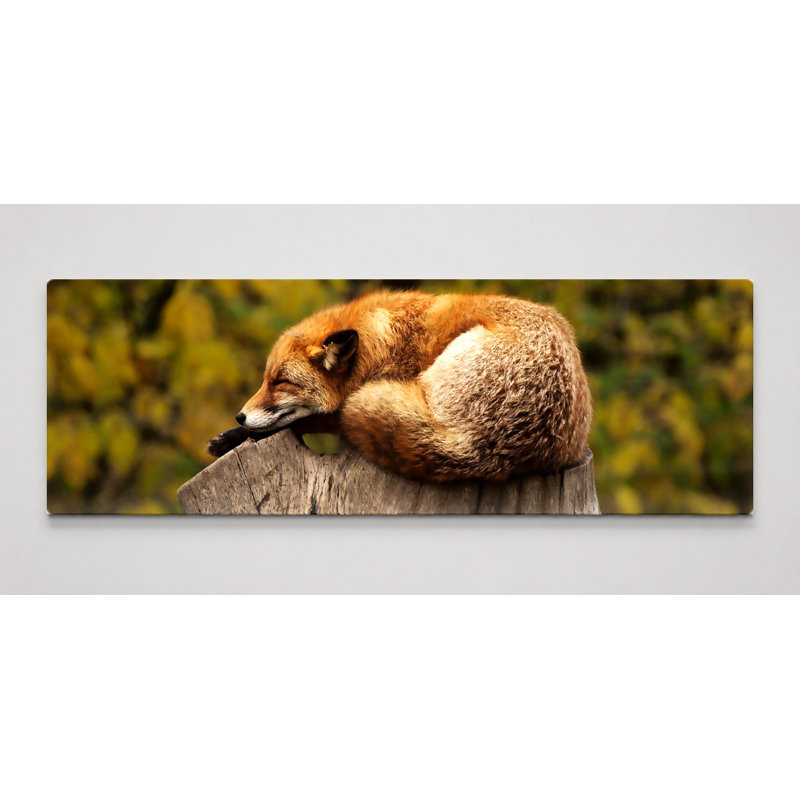 «Sleeping Fox on Tree Stump», art mural sur toile panoramique, 48" W x 16" H