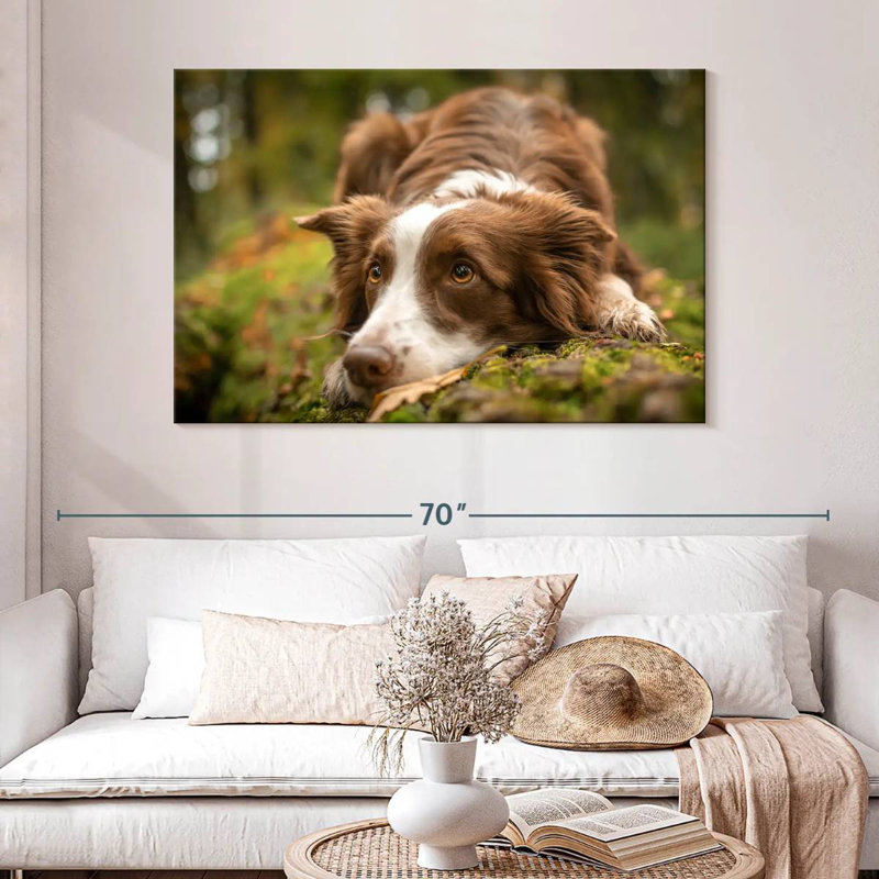 Brampt Lovable Border Collie, 32'' H x 48'' W
