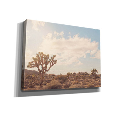 " Sunshine & Joshua Trees " by Myan Soffia