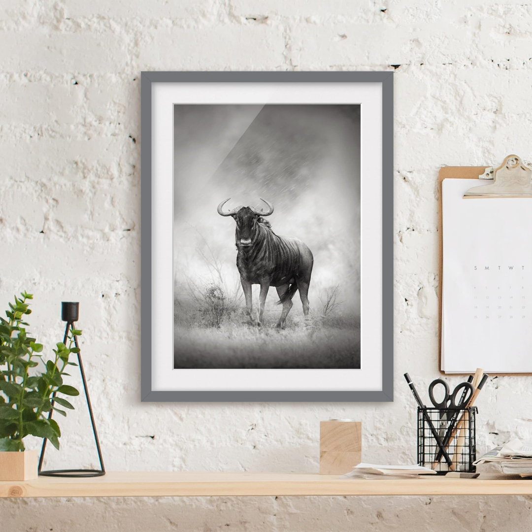 Gerahmtes Poster Gazing wildebeest