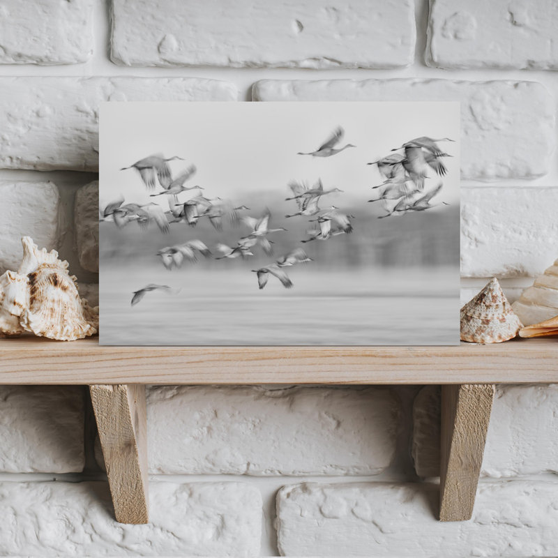 Dashiell Contemporary Art Contemporary Bird Fly Nature Wildlife Wall Art - Wrapped Canvas Print, 45.72 cm H x 30.48 cm W