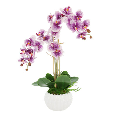 Purple Orchids Arranged in Decorative Ceramic Pot