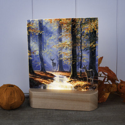 October Courtship LED Nightlight
