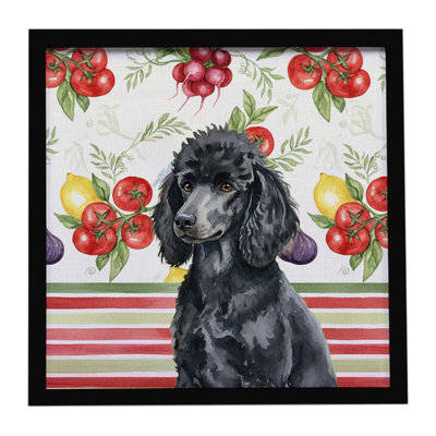 Standard Black Poodle Vegetables Framed Metal Print