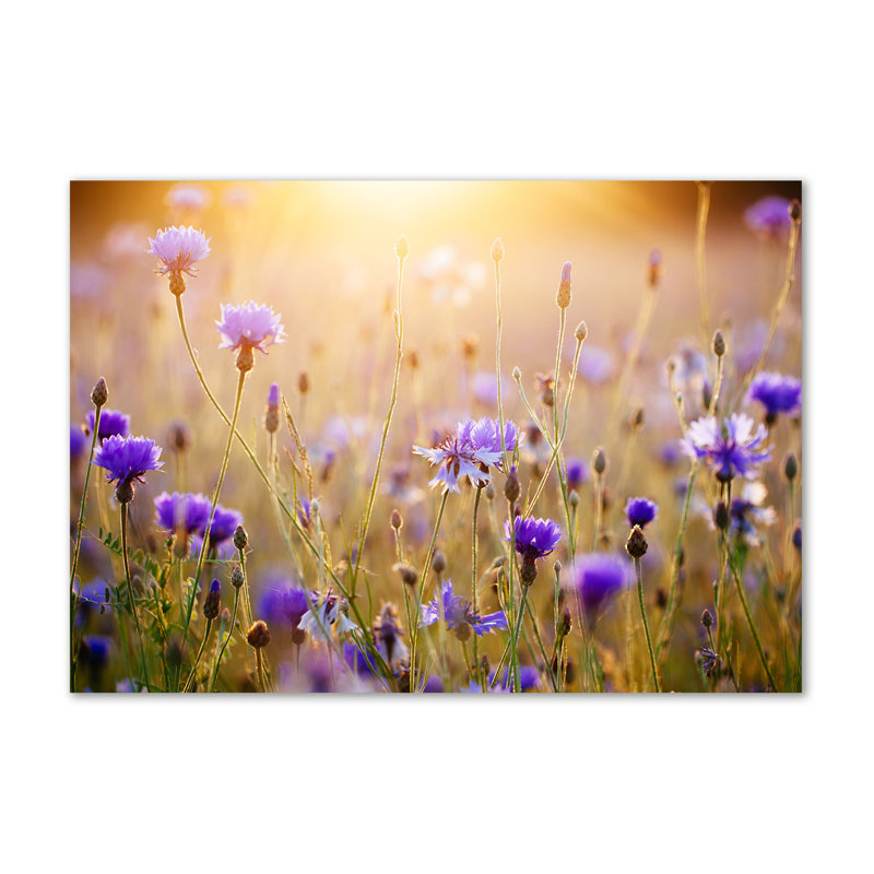 Field Flowers - Wrapped Canvas Print
