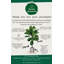 Doublure de pot en yucca artificiel-1739189462