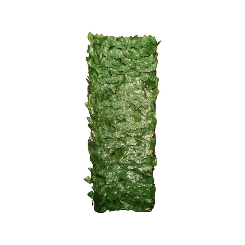 Anthoy 200cm H x 100cm W Plastic Trellis