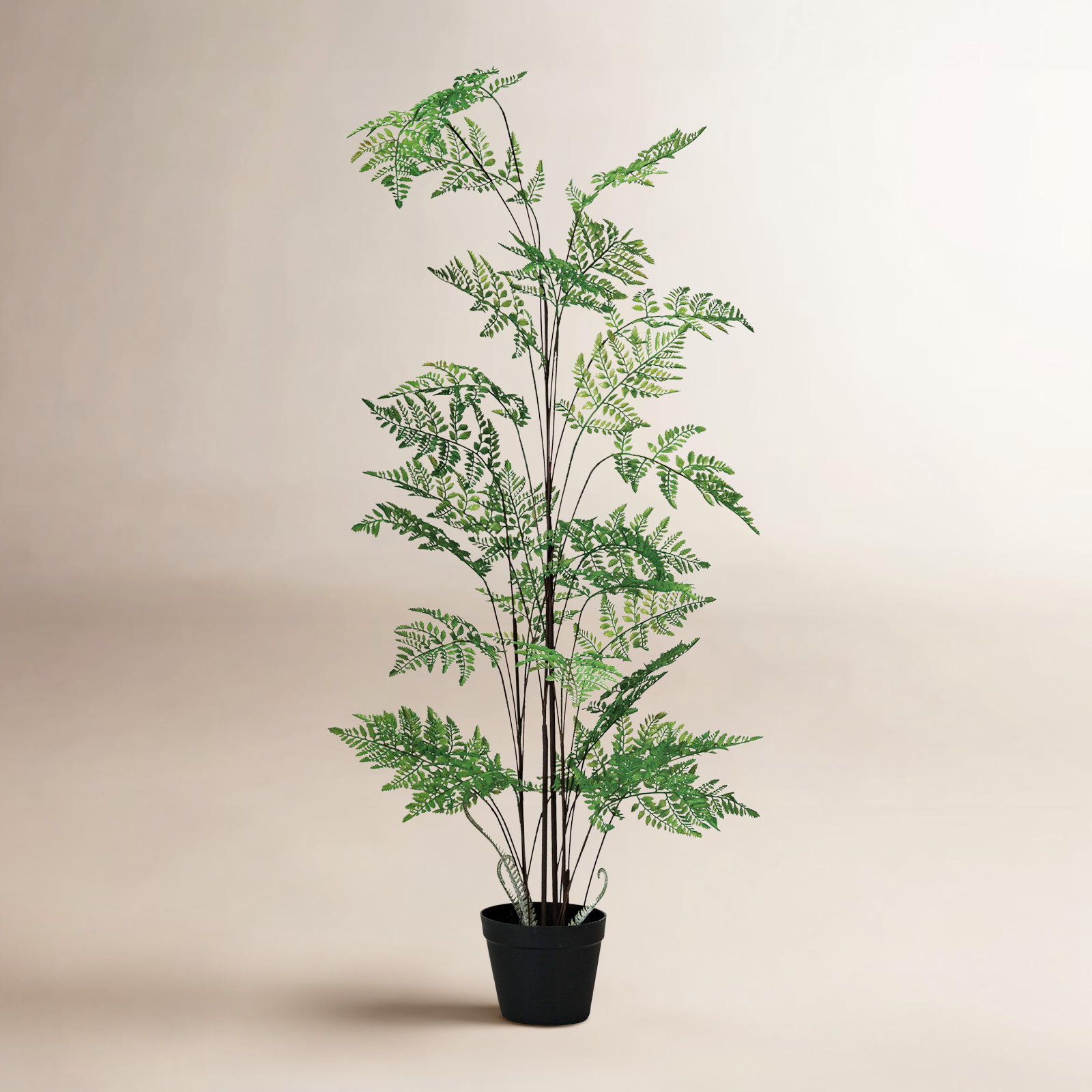 47.25'' Faux Fern Tree in Pot