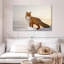 Renard majestueux Brampt-108817028