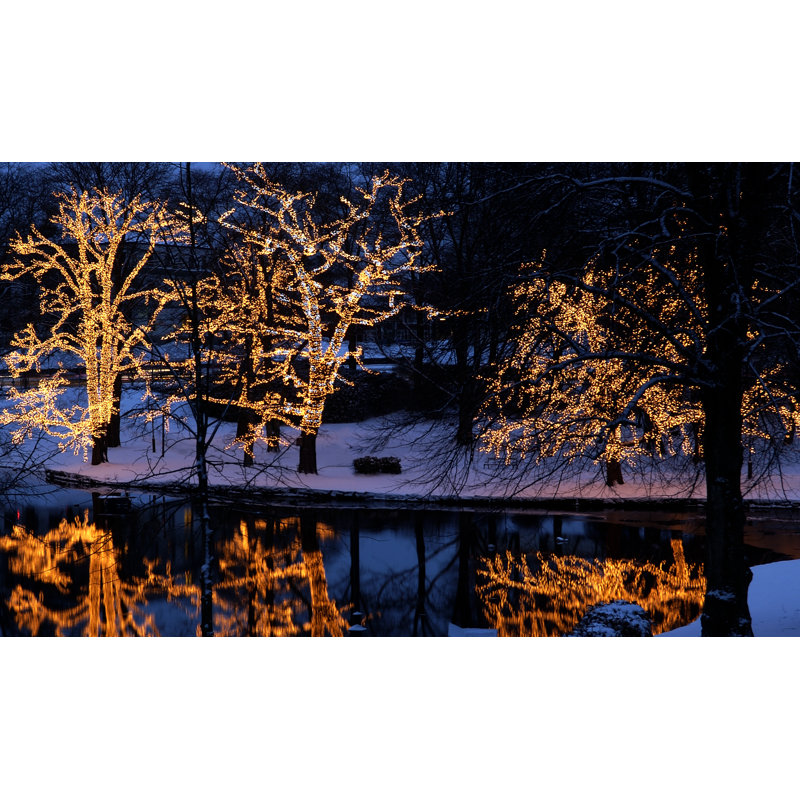 500cm LED Indoor / Outdoor String Lights, White, Warm white