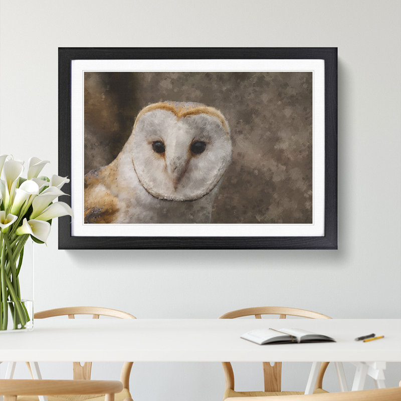 Barn Owl Vol.1 - Framed Print, 48cm H x 65cm W x 2cm D, Black Framed