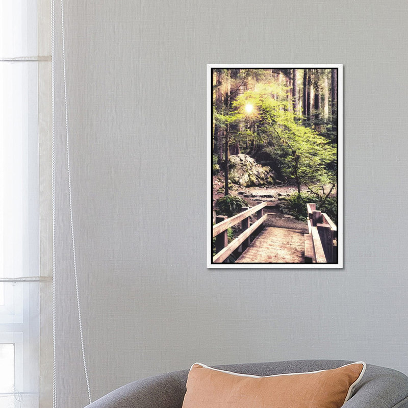 Sunlight On The Forest Path by Andy Amos - Print on Canvas, White Framed Canvas, 66.04 cm H x 45.72 cm W