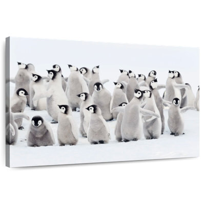 Brampt Baby Emperor Penguins