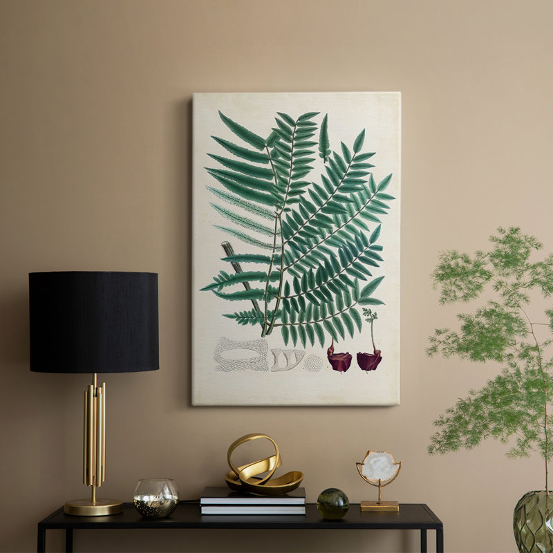 Collectionné fougères vii-galerie sur mesure, H 48 po x l 32 po
