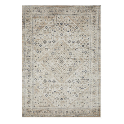 Aldoyn Oriental Indoor Rug