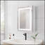 Armoire de salle de bain à miroir 20 po x 28 po à DEL avec anti-buée, étanche, à intensité variable et tablettes de rangement spacieuses