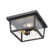 Outdoor Flush Mount