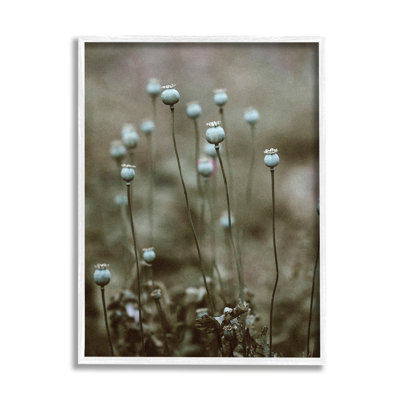 Ampoule Serene White Floral Woodland par Incado - photographie
