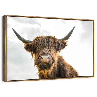 Image de vache